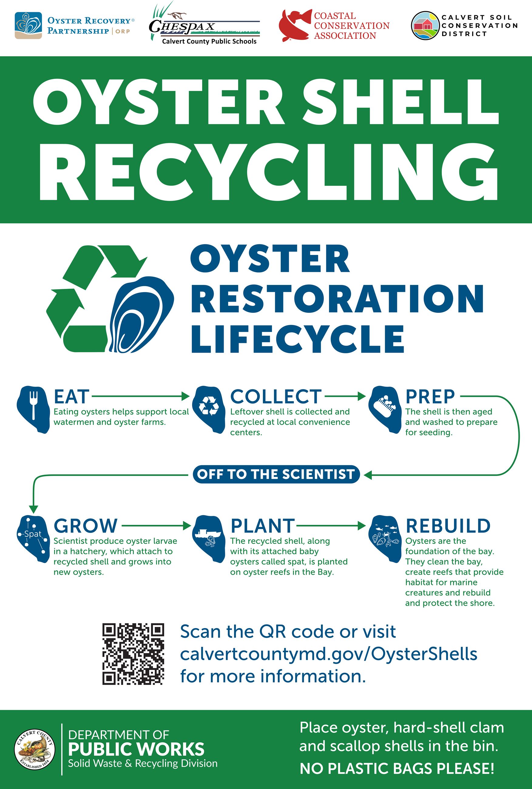 Oyster Recycling Program Infographic